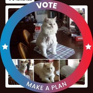 Meet your Posher, Marcy